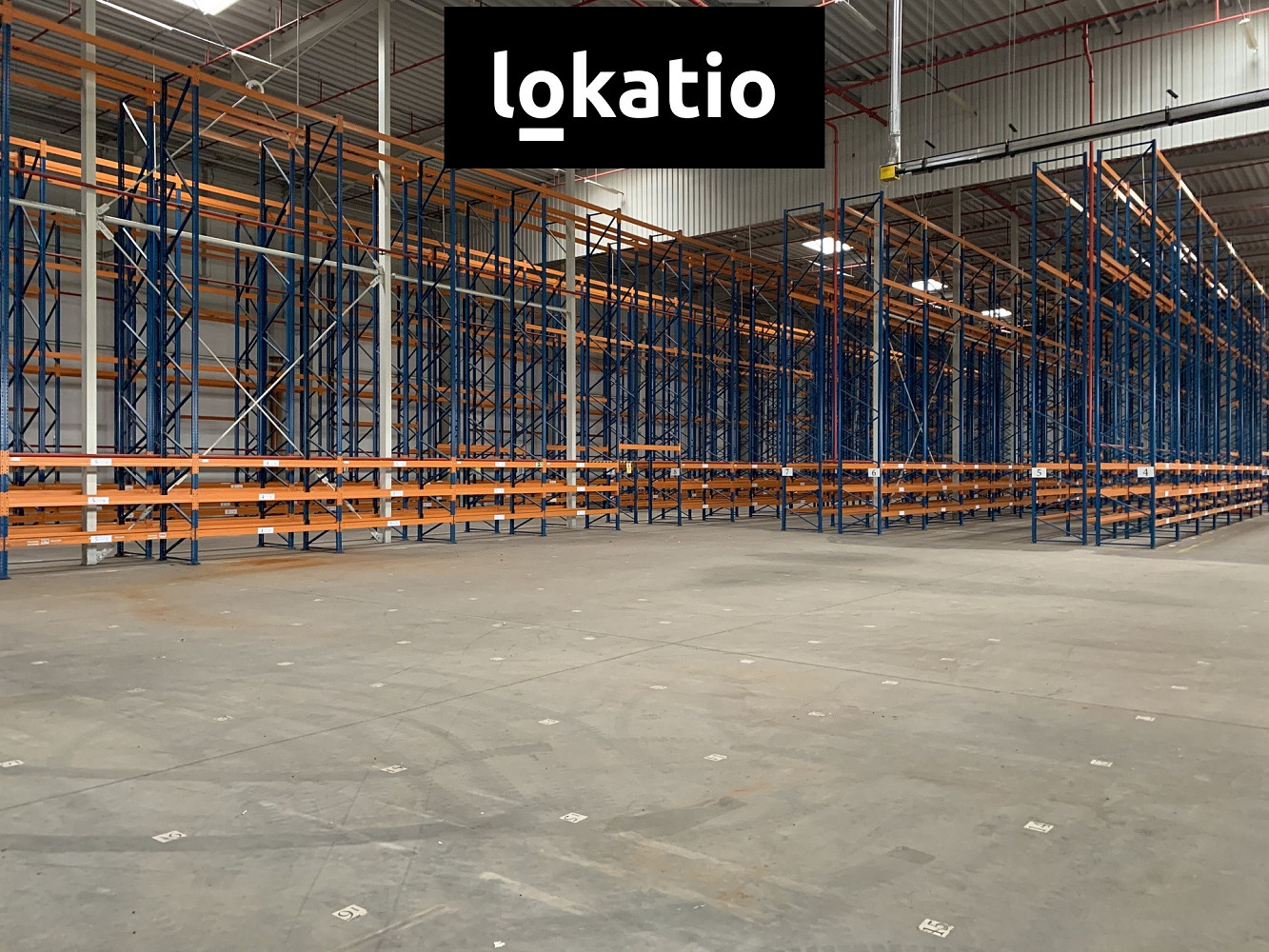 Pronájem skladovacích prostor 8 618 m² – fotografie 5