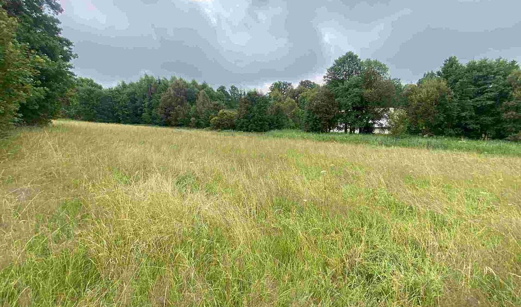 Prodej stavebního pozemku 1 500 m², Deštné v Orlických horách – náhled fotky 5
