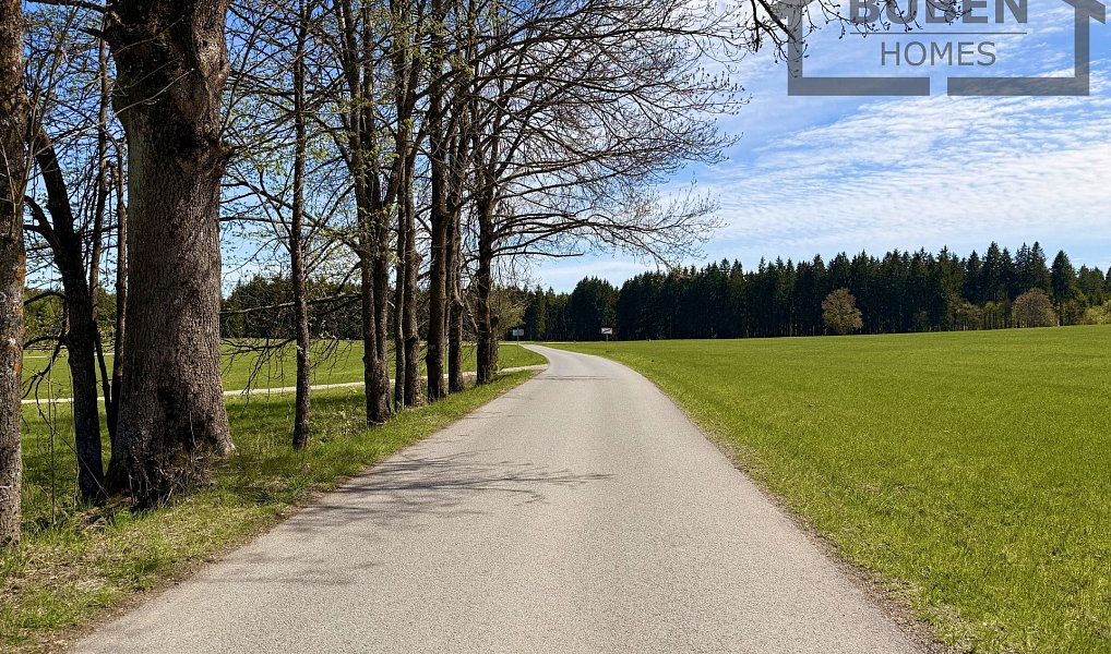 Prodej stavebního pozemku 1 566 m², Chodský Újezd – náhled fotky 14