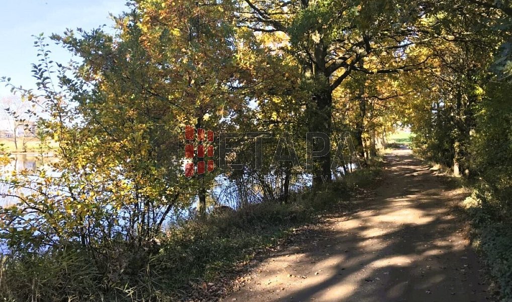 Prodej vodní plochy 241 000 m², Střítež – náhled fotky 8