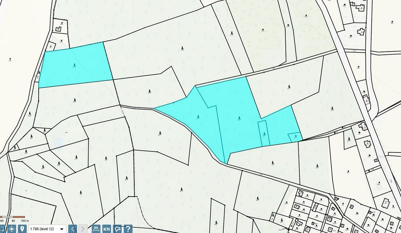 Prodej lesa 26 667 m² – fotografie 3
