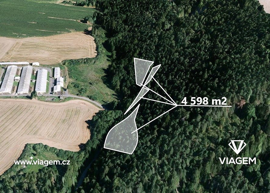 Prodej lesa 2 299 m²