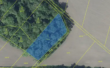 Prodej lesa 1 581 m², Podsedice - Světec