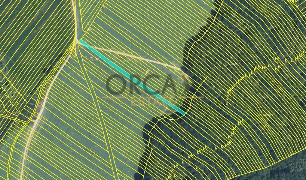 Prodej pole 6 356 m², Mistřice – náhled fotky 5