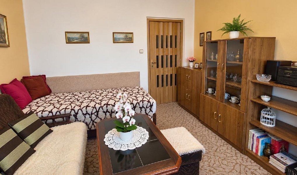 Prodej bytu 2+1 47 m², Přerov – náhled fotky 4