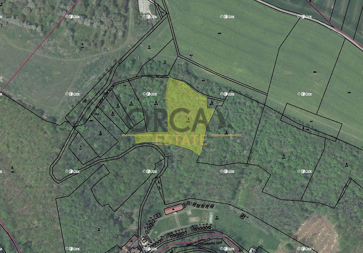 Prodej lesa 7 464 m²