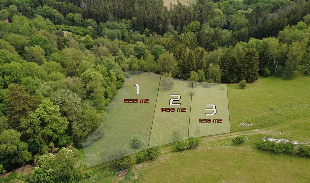 Prodej stavebního pozemku 2 215 m², Planá – fotka 1 z 13