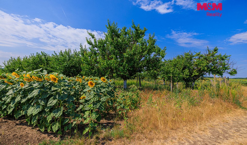 Prodej pole 14 490 m², Zaječí – náhled fotky 3