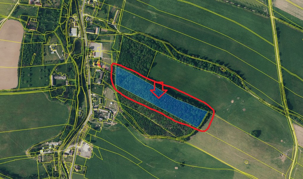Prodej lesa 23 360 m², Bernartice – náhled fotky 12