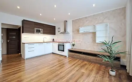 Pronájem bytu 2+kk 56 m²