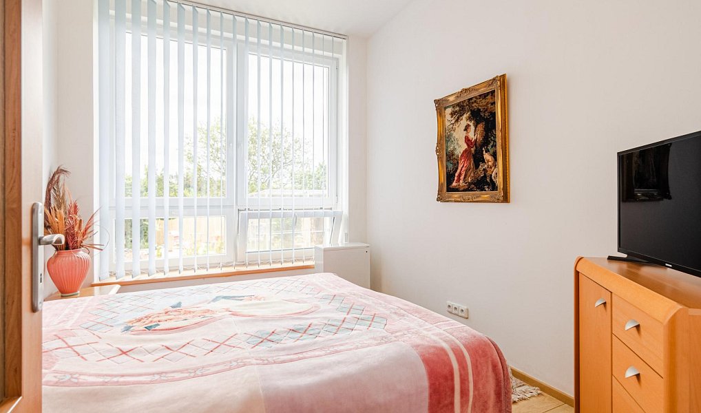 Prodej domu 358 m² s pozemkem 520 m², Slabce – náhled fotky 9