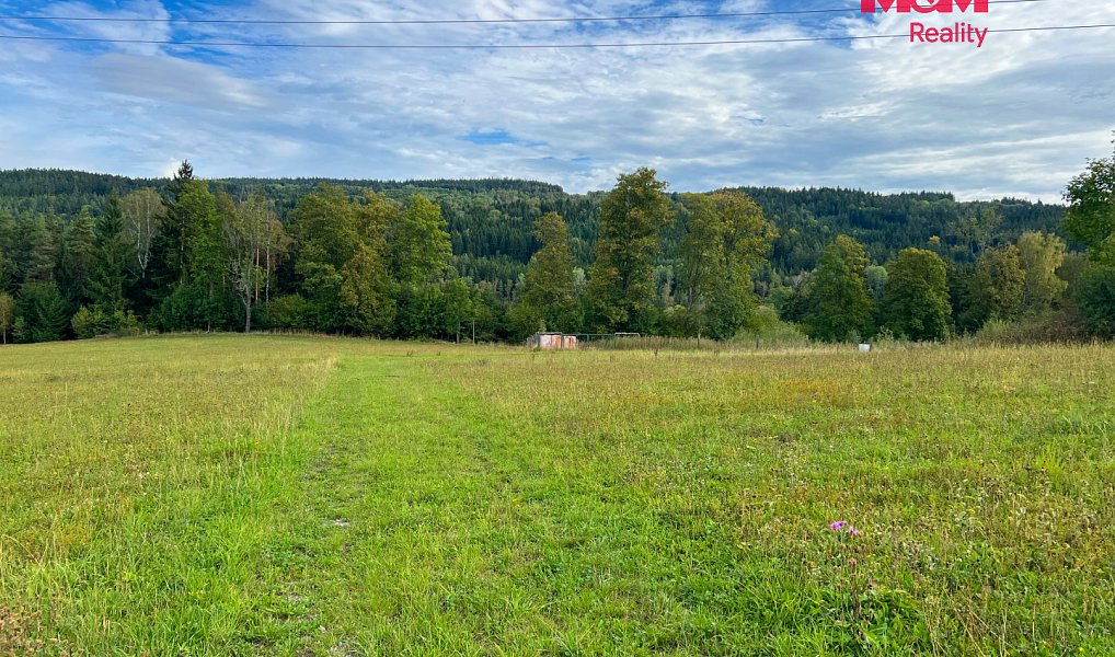 Prodej stavebního pozemku 64 409 m², Záblatí – náhled fotky 23