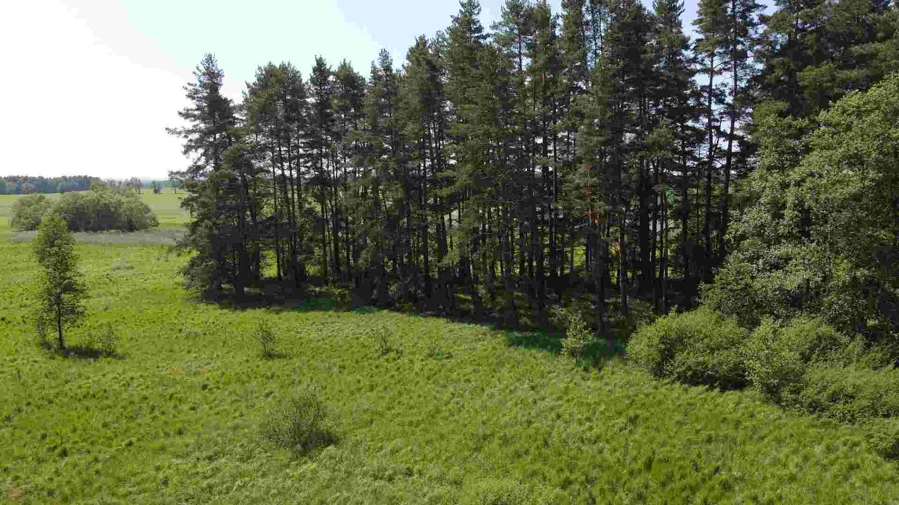 Prodej pozemku 20 535 m² – fotografie 2
