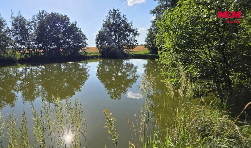 Prodej vodní plochy 18 189 m², Slezské Rudoltice – náhled fotky 2