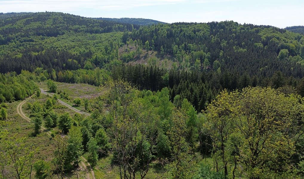 Prodej domu 109 m² s pozemkem 4 779 m², Klenčí pod Čerchovem – náhled fotky 15