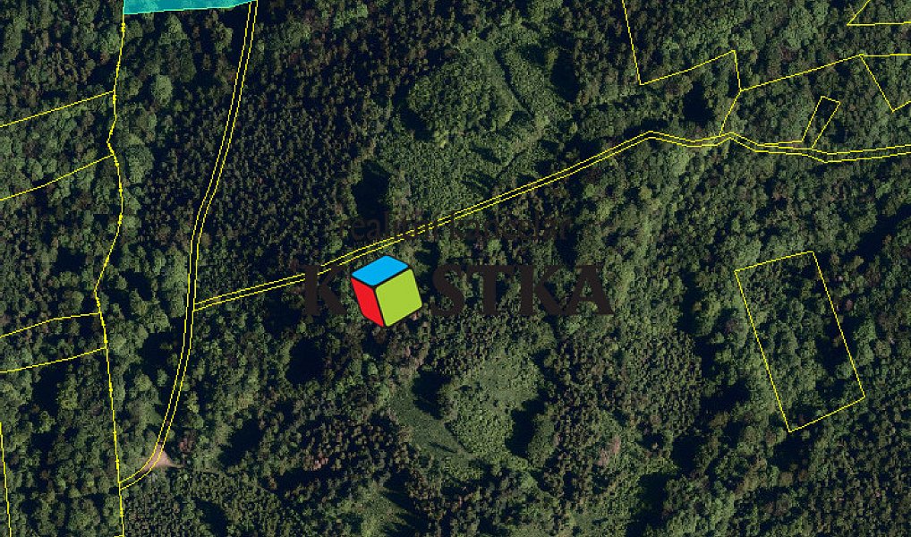 Prodej lesa 21 563 m², Ženklava – náhled fotky 2
