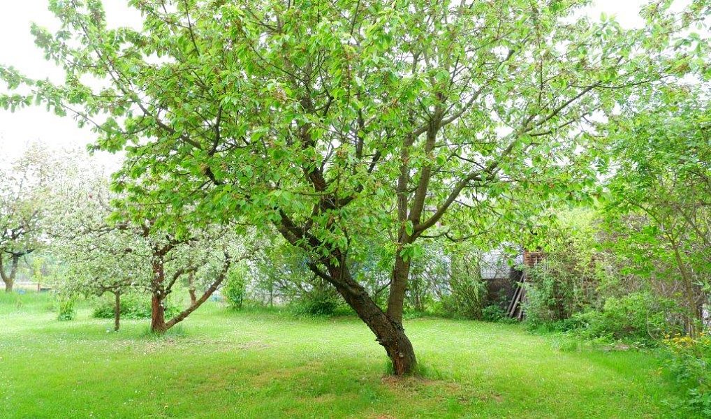 Prodej chaty/chalupy 136 m² s pozemkem 535 m², Dobříš – náhled fotky 5