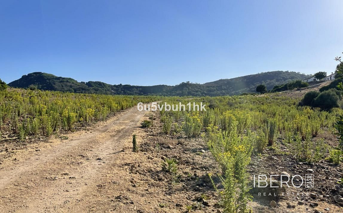 Prodej domu 161 m² s pozemkem 281 500 m² — photo 3