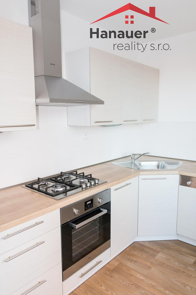 Pronájem bytu 2+1 53 m² – pohled 2