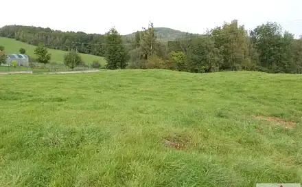 Prodej stavebního pozemku 6 828 m², Malšovice - Nová Bohyně, okres Děčín