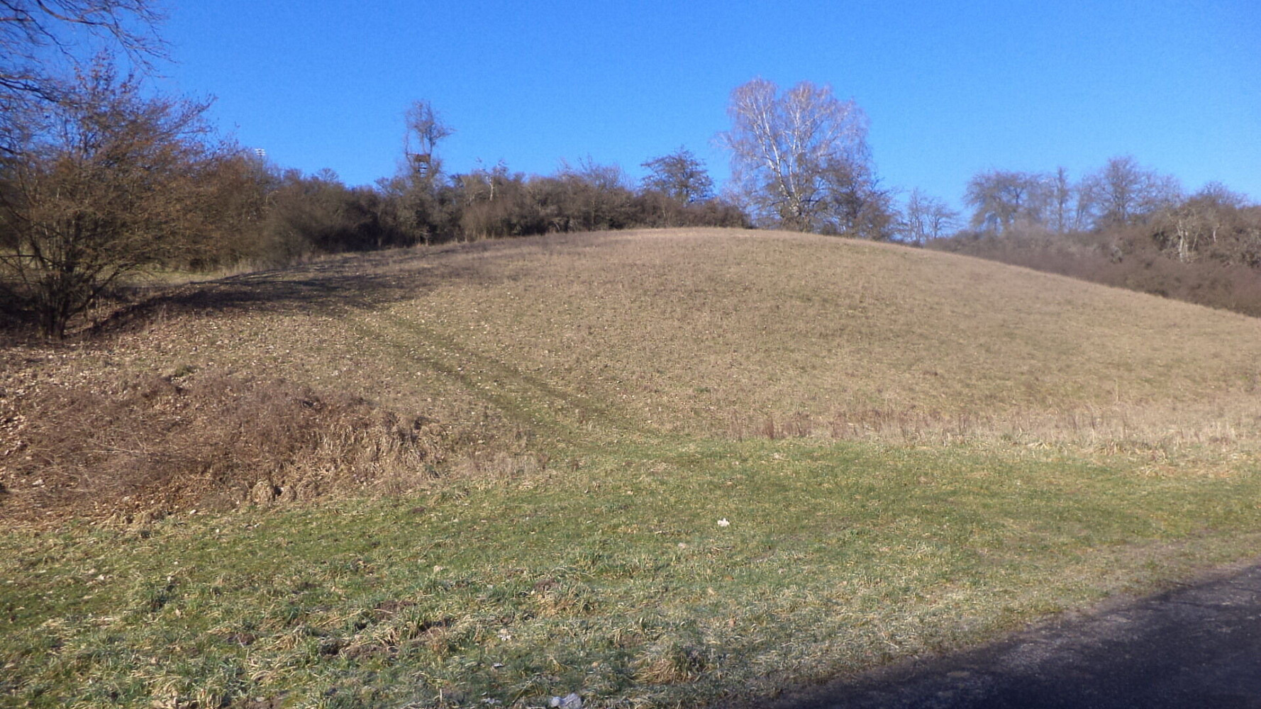 Prodej pole 3 880 m²