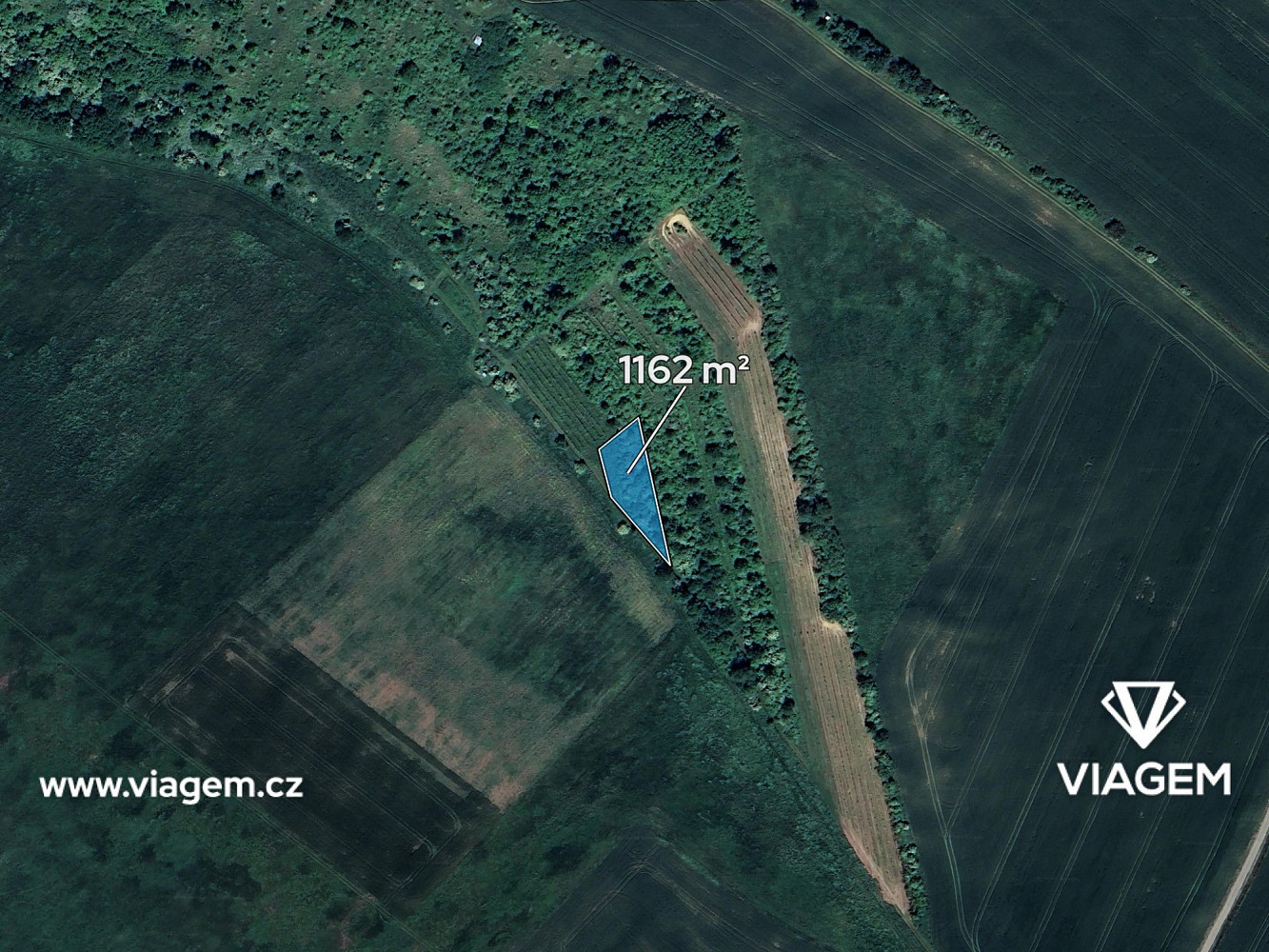 Prodej pole 1 162 m² – fotografie 2
