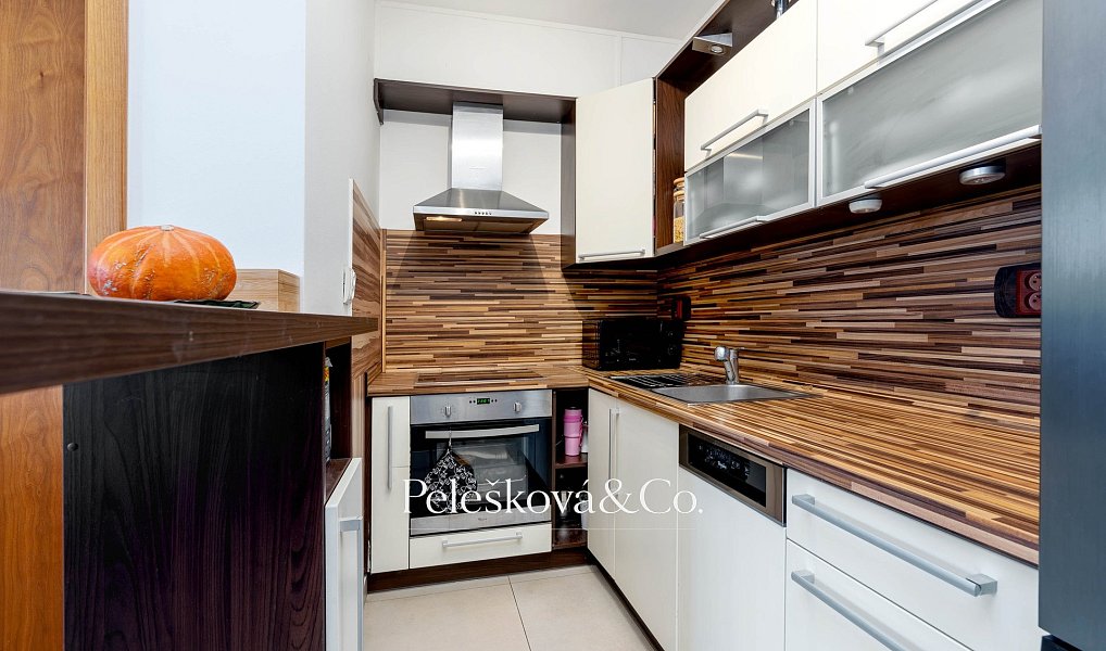 Pronájem bytu 2+kk 45 m², Praha – náhled fotky 5