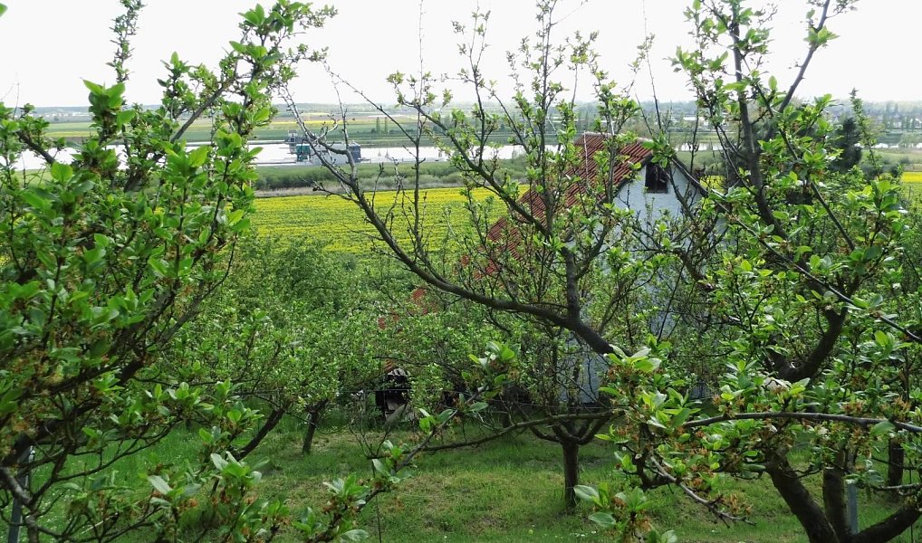 Prodej domu 43 m² s pozemkem 1 412 m², Trnovany – náhled fotky 8