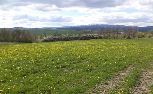 Prodej pozemku 10 063 m², Staré Město - Nová Véska, okres Bruntál