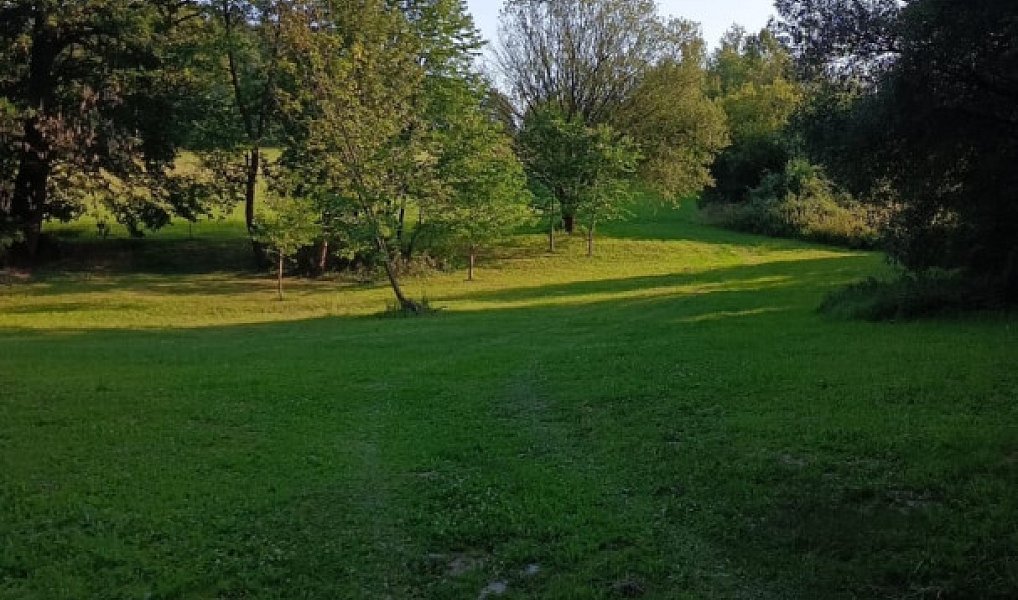 Prodej stavebního pozemku 3 506 m², Světlá Hora – náhled fotky 9