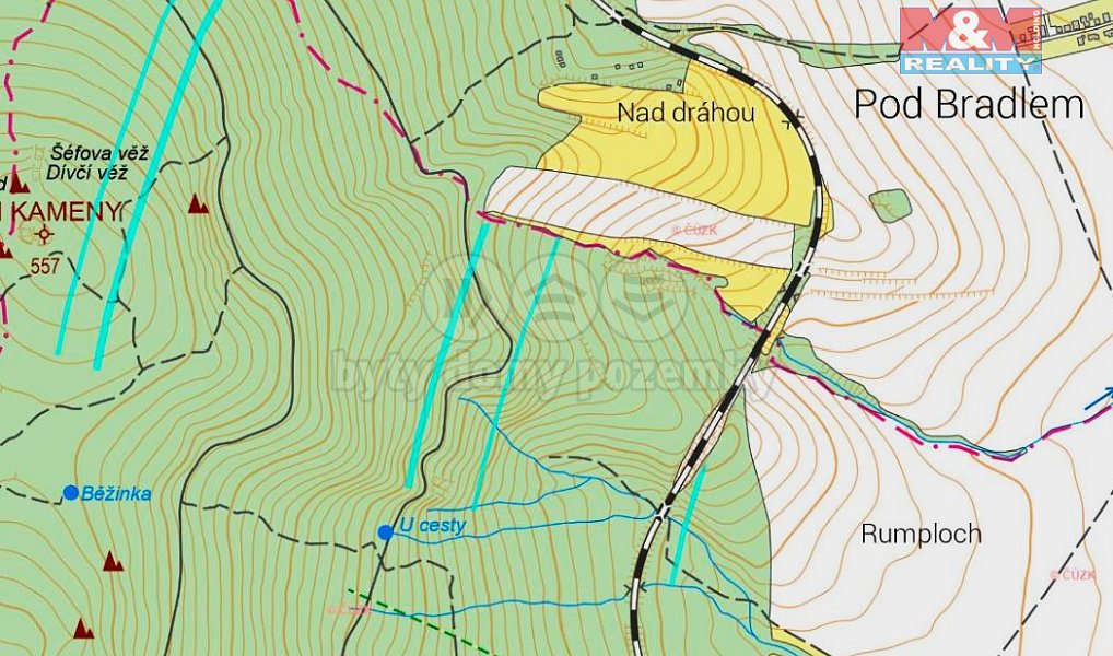 Prodej lesa 28 654 m², Nová Hradečná – náhled fotky 4