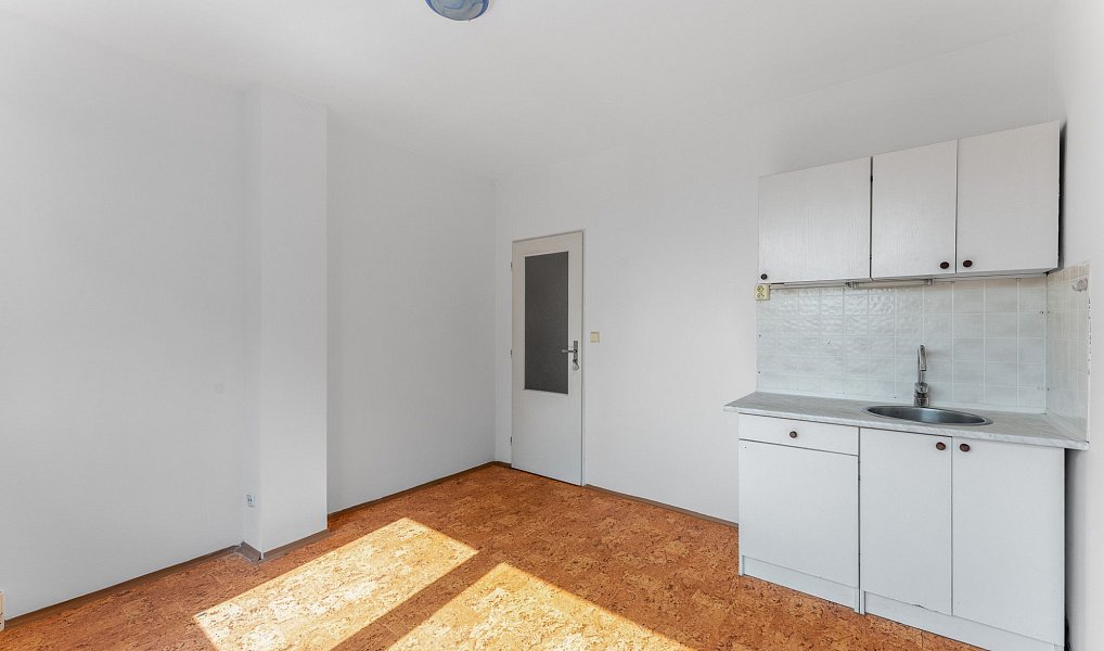 Prodej bytu 1+kk 18 m², Praha – náhled fotky 2