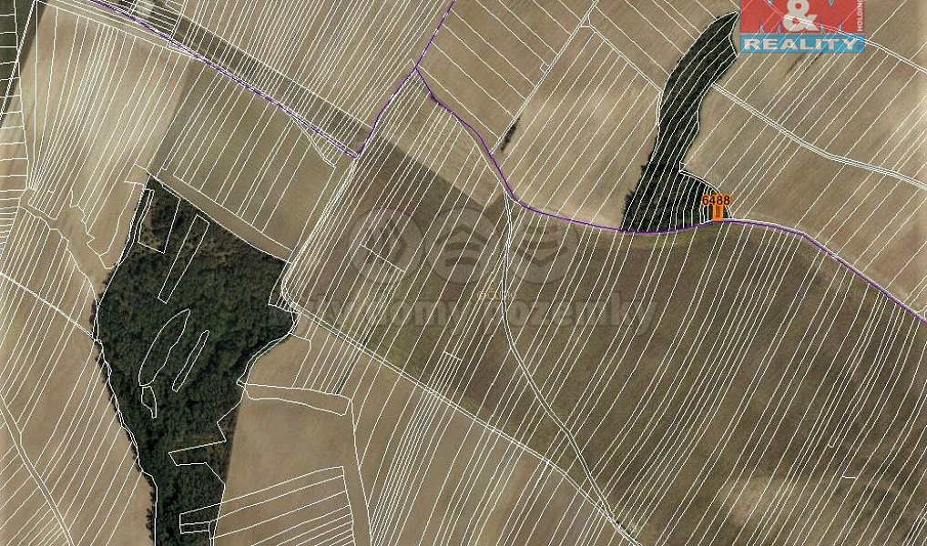 Prodej lesa 320 m², Ořechov – náhled fotky 3