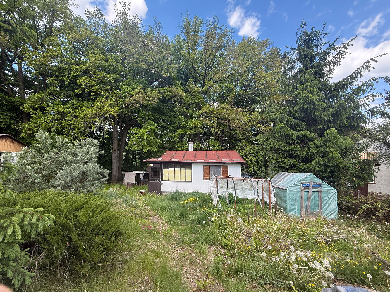 Prodej chaty/chalupy 31 m² s pozemkem 540 m² — photo 3
