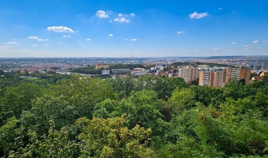 Pronájem bytu 3+kk 120 m², Praha – náhled fotky 30