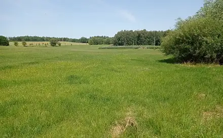 Prodej stavebního pozemku 13 356 m², Vyžice, okres Chrudim