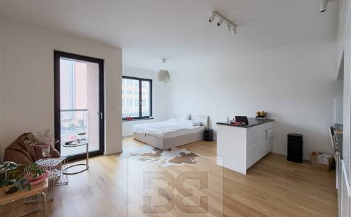 Pronájem bytu 1+kk 42 m², Jankovcova, Praha 7 - Holešovice