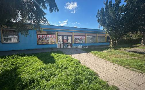 Pronájem obchodních prostor 324 m², Třídvorská, Kolín - Kolín V