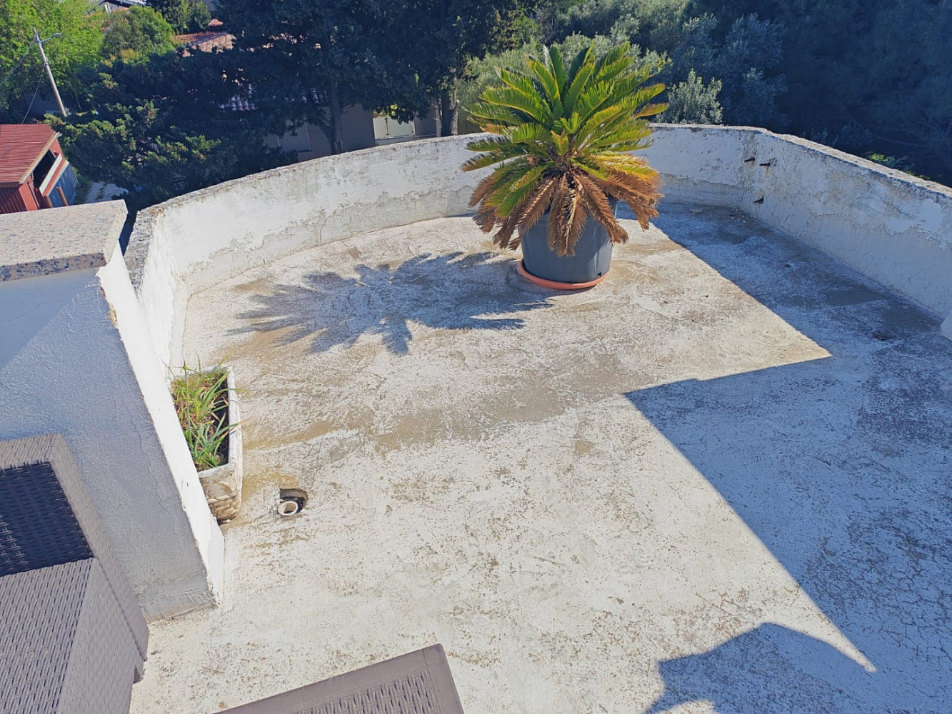 Fotka 4 z 13