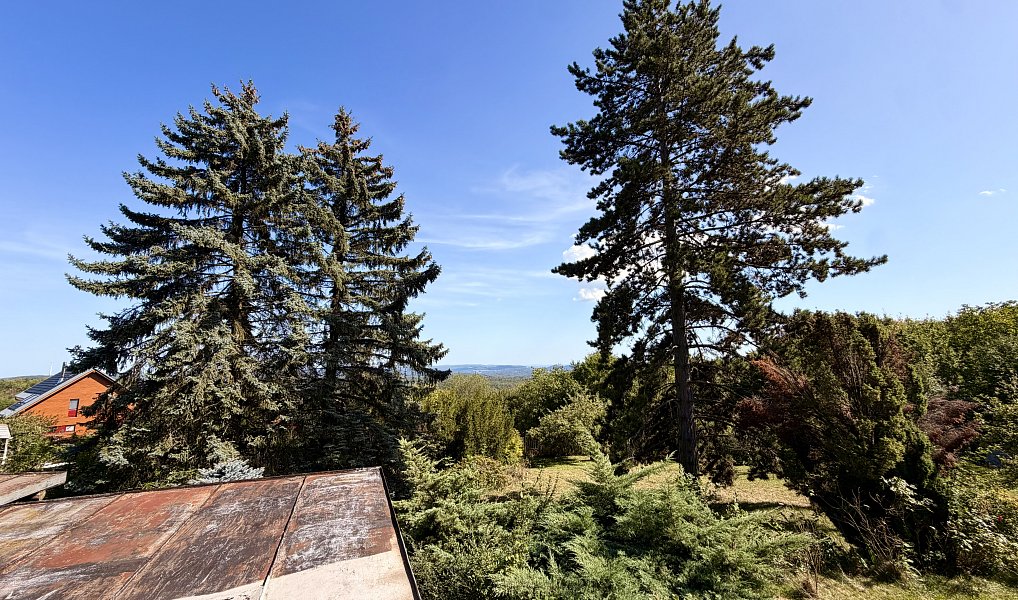 Prodej stavebního pozemku 1 510 m², Černolice – náhled fotky 8