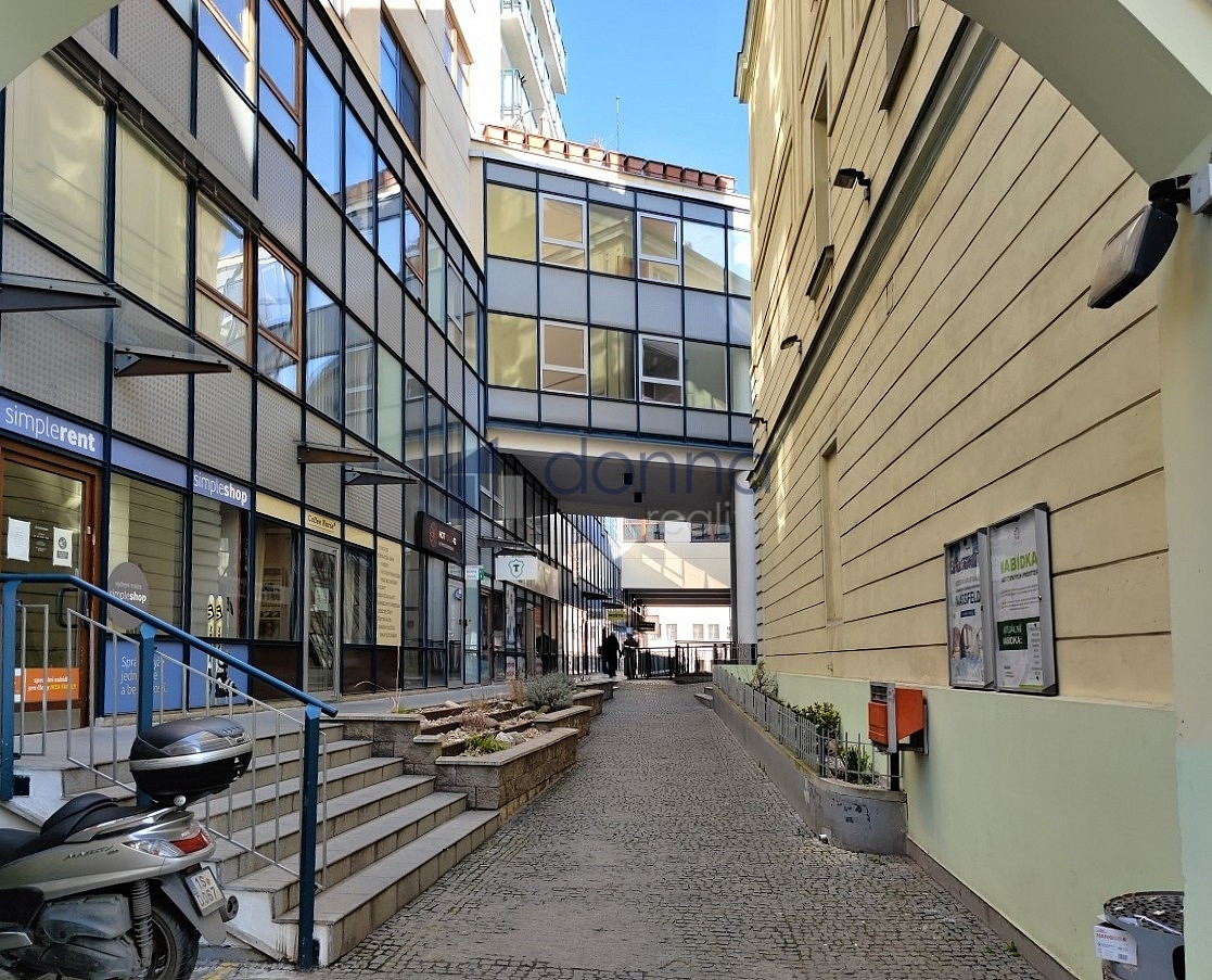 Pronájem obchodních prostor 257 m²
