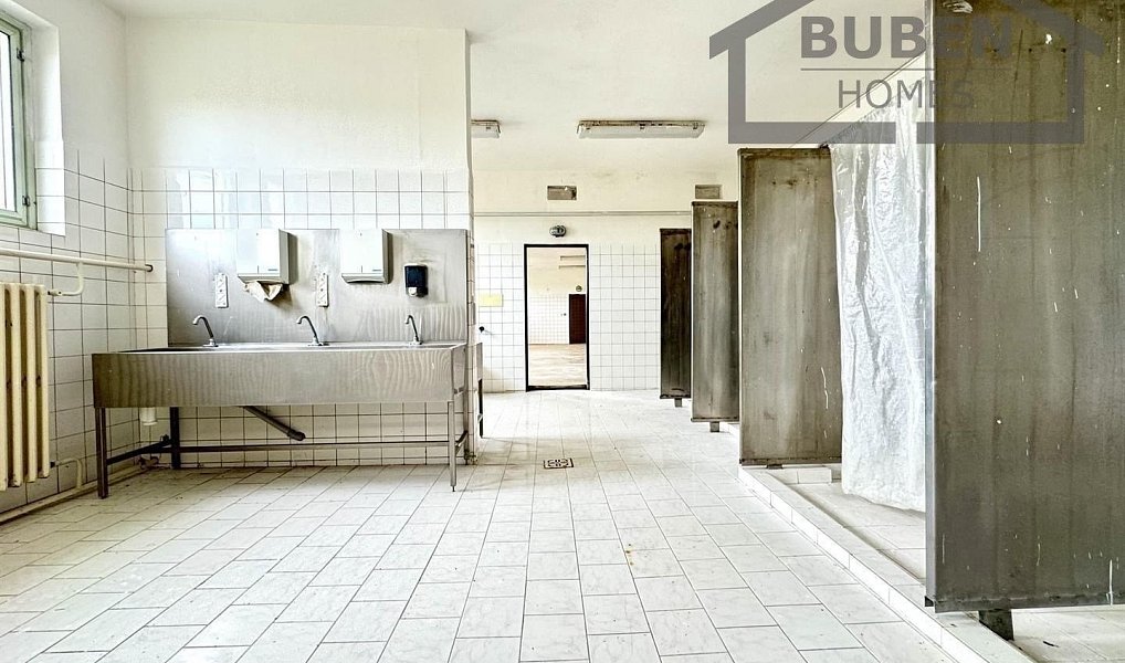 Prodej výrobních prostor 11 180 m², Lom u Tachova – náhled fotky 11