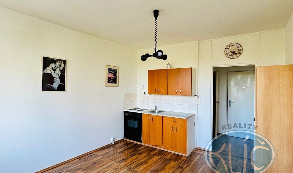 Pronájem bytu 1+kk 21 m², Tábor – náhled fotky 2
