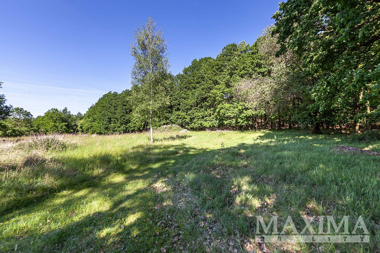 Prodej stavebního pozemku 4 612 m² — photo 4