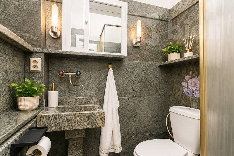 Prodej domu 310 m² s pozemkem 1 623 m² – fotografie 4