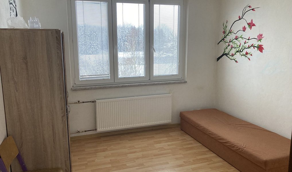 Pronájem pokoje 12 m², Bor – náhled fotky 7