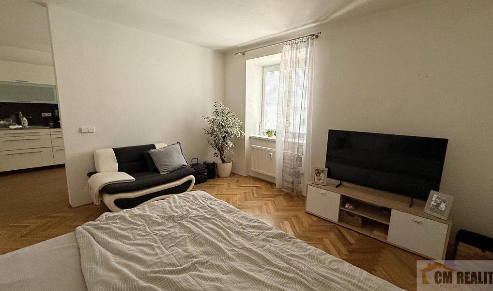 Pronájem bytu 2+1 71 m², Olomouc – náhled fotky 9