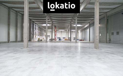 Pronájem skladovacích prostor 6 694 m², Divišov, okres Benešov