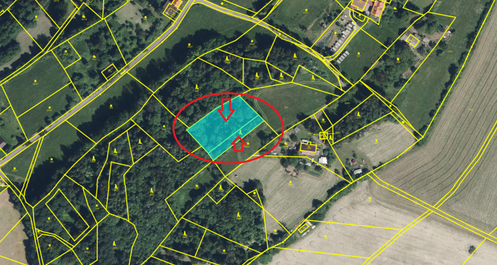 Prodej lesa 2 671 m² – pohled 4
