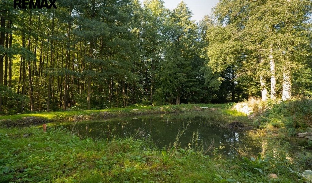 Prodej domu 770 m² s pozemkem 9 150 m², Kundratice – náhled fotky 20